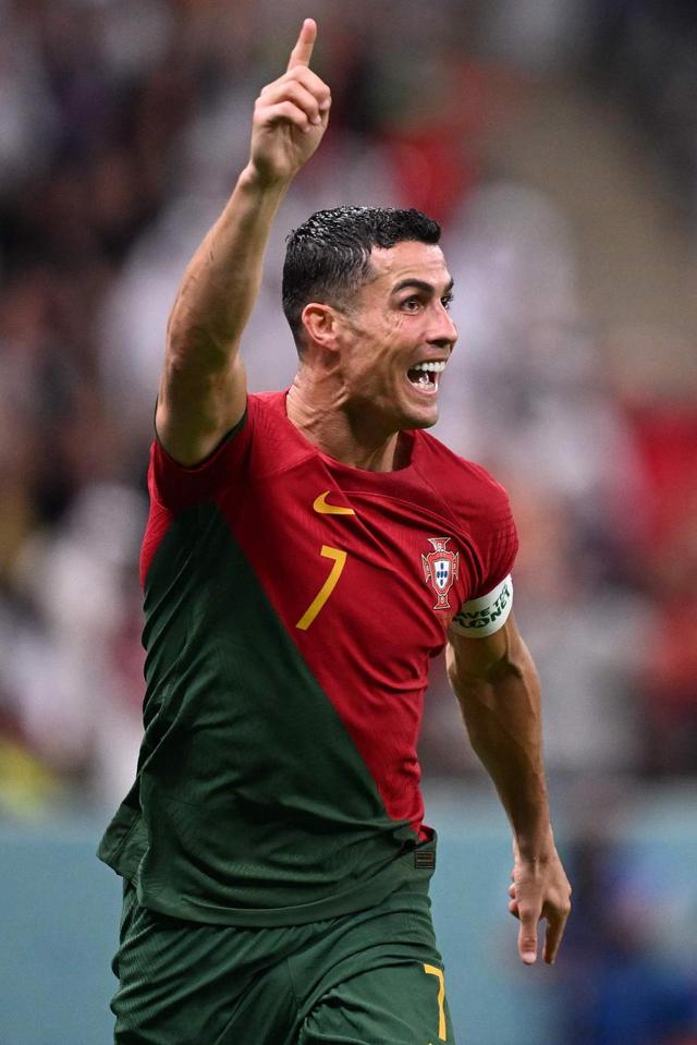 与惩戒公示 与惩戒公示